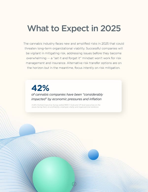 Cannabis Industry Risk & Resilience: Strategies for 2025 - Page 2