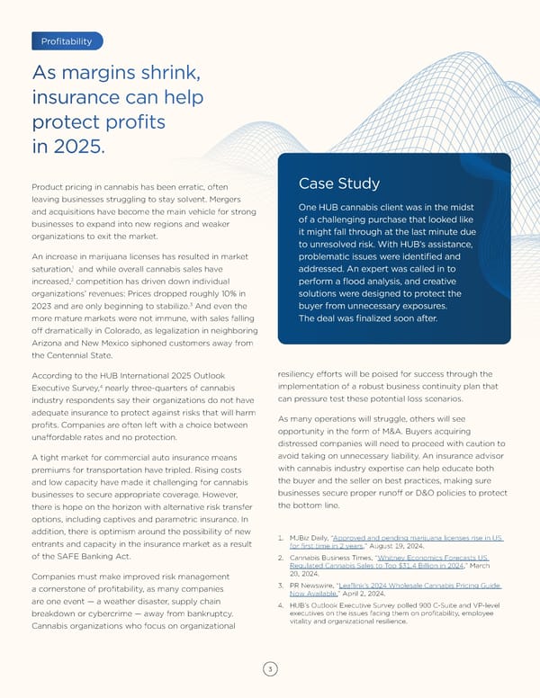 Cannabis Industry Risk & Resilience: Strategies for 2025 - Page 3