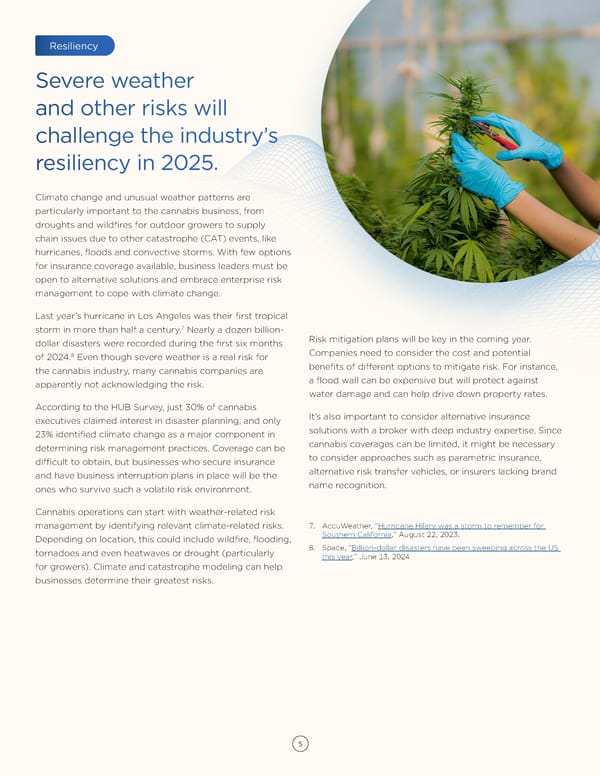 Cannabis Industry Risk & Resilience: Strategies for 2025 - Page 5