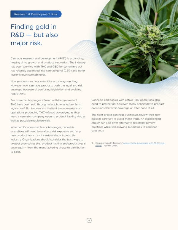 Cannabis Industry Risk & Resilience: Strategies for 2025 - Page 6