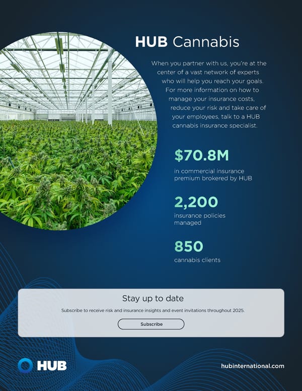 Cannabis Industry Risk & Resilience: Strategies for 2025 - Page 11